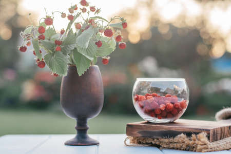 Fresh ripe strawberry bush with green leaves in clay brown vase in shape of glass and peeled strawberries in glass bowl on wooden board on woolen brown cloth. Organic background. Selective focus.の写真素材