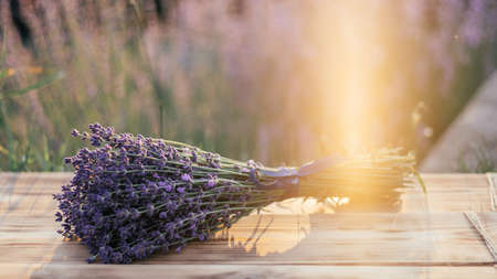 Partially blurred bunch of lavender on wooden board against background of bushes of flowers and sunbeamsの写真素材