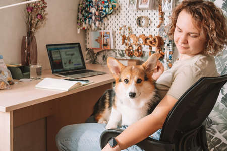Curly haired cheerful woman, owner with dog corgi sitting, in computer chair near laptop at workplace indoors. Small business, rattles, teethers for babies. Home office, online store, marketplace.の写真素材