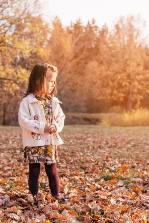 Little girl 3-4 years old stands on autumn leaves outdoor in park in rays of setting sun and looks to side. Dark haired child in clothes of beige brown autumn colors in profile. Verticalの写真素材