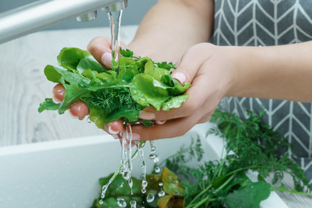 Cropped photo of woman wearing gray apron washing fresh greenery lettuce dill with hands under running water in sink in kitchen. Vegetables, vegetarian, preparation for cooking, healthy food, hygiene.の写真素材