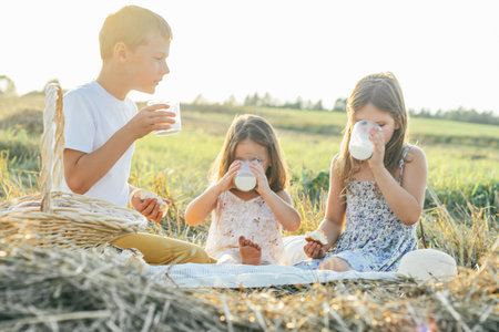 Happy friends eat food and drink fresh milk sitting on blanket on field. Silhouettes of little children on sunlight. Tasty and nutritious outdoor picnic. Summer vacation, countryside lifestyle.の写真素材