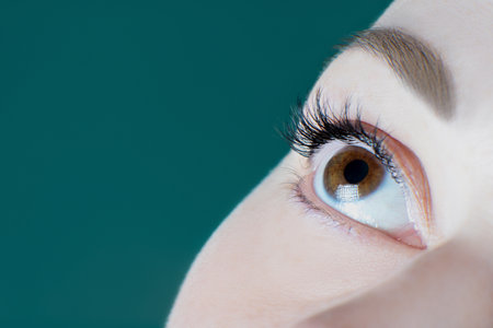 Close-up of brown eye with long eyelashes, black eyeliner, healthy skin, perfect eyebrow of unrecognizable young woman looking up on green background. Macro. Eyelash extension, cosmetology, make-up.の写真素材