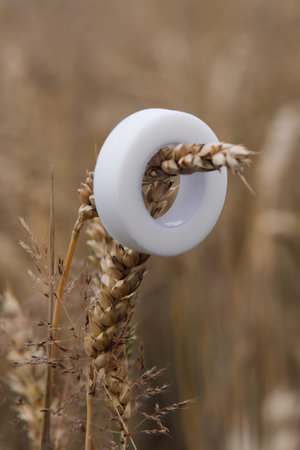 White plastic tape for fixation lashes in process of eyelash extension procedure hanging on branch of wheat outdoors. Material featuring gentle adhesive that holding lower cilia in place. Vertical.の写真素材