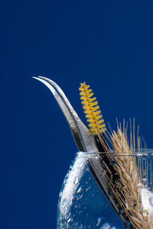 Close up of tweezers and yellow brush using for eyelash extension procedure left in wineglass standing against dark blue background. Different tools in wet goblet with branch of wheat. Vertical.の写真素材