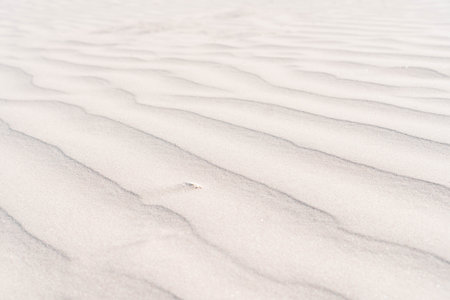 Top view of idyllic sandy dunes ridges ripples beach. Summer, holiday vacation, travelling nature,...