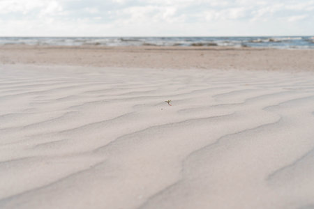 Close-up of fantastic sandy dunes ridges ripples beach near water sea ocean coastline on sunny day. Summer, holiday, vacation, travelling, eco tourism, landscape, desert, wallpaper, advertisement.の写真素材