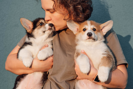 Adult woman hold two little loveable Pembroke Welsh Corgis in arms and kissing baby with sable-white fur on nose. Puppiess with different hair colors sitting on hands of caring owner.の写真素材