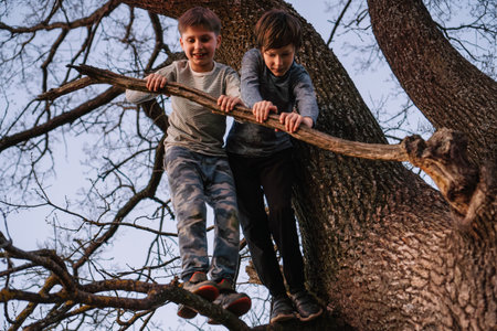 Two boys, wearing comfortable clothes, climbed up on tree, standing on branch and leaning on embranchment, attempting to keep balance. One teen smiling enjoying activity with concentrated friend.の写真素材