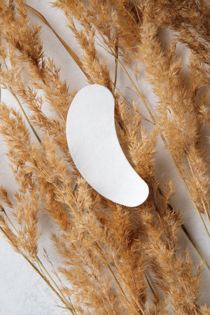 Beauty and health. Natural substances in cosmetology. White stripes under eyes are moisturizing and nourishing lying on branches of fluffy reed. Flatley. MOCKUP.の写真素材