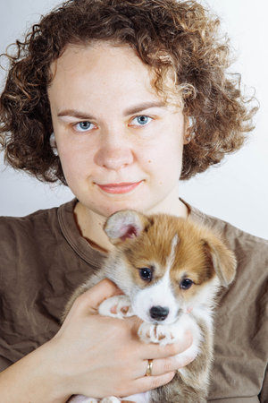 Portrait of young smiling blue-eyed woman with curly dark hair wearing jeans, brown T-shirt, holding amazing little brown white puppy of dog welsh pembroke corgi on hands on grey background. Vertical.の写真素材