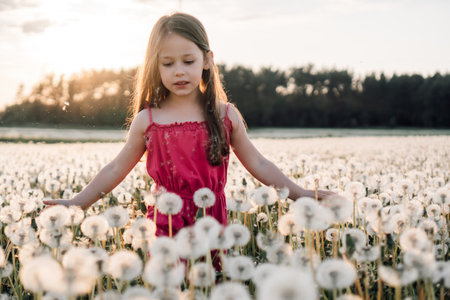 Charming girl with brown long hair walking in meadow full of white dandelions, keeping hands over plants and tenderly touching fluffy tassels of flowers. Kid in pink jumpsuit fascinated by nature.の写真素材