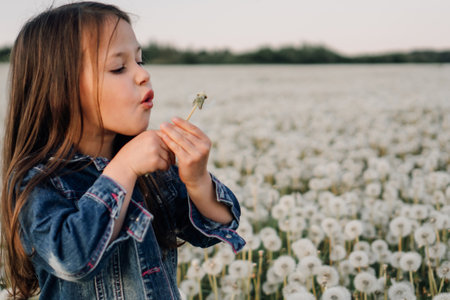 Fascinating girl in denim jacket standing in white dandelions meadow and diligently blowing last seeds of flower that holding in hands. Little lady looking at plant, making wish on blooming.の写真素材