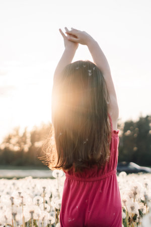 Rear view of adorable little girl in pink summer jumpsuit standing in field of white fluffy dandelions and stretching arms up to sky. Kid with brown hair enjoying sunshine in blowballs. Vertical.の写真素材