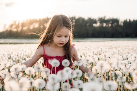 Gorgeous girl in pink summer jumpsuit walking in meadow of white fluffy dandelions at sunset and looking down at flowers. Little lady with dark hair admiring blossoms spending vacation in nature.の写真素材