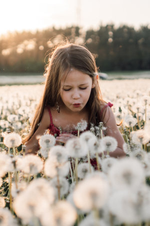 Charming girl with brown long hair walking in meadow of blowballs, leaning close to white flower and blowing seeds of dandelion. Little lady in pink summer clothes making wish. Vertical.の写真素材