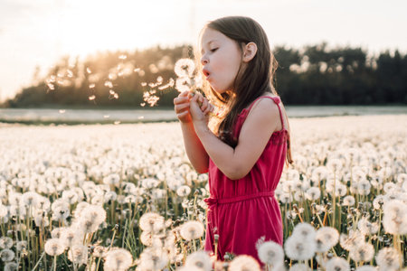 Gorgeous little girl in pink jumpsuit standing in meadow surrounded by white dandelions and blowing flowers. Female child playing with blossoms, seeds of blooming flying through air at sunset.の写真素材
