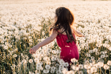 Rear view of joyful kid with brown long hair walking in field full of white dandelions and having fun. Little girl in pink summer jumpsuit keeping arms over flowers and enjoying nature on sunny day.の写真素材