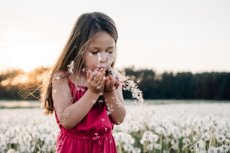 Delightful brunette girl standing surrounded by white dandelions and blowing flowers that holding in hands. Little lady in pink jumpsuit walking and playing in field full of fluffy blossoms.の写真素材