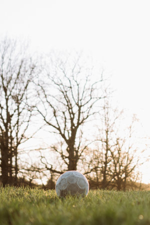 Vertical image of white game soccer ball that lies on grass on lawn against light gray sky background .Sports equipment. Symbol of sports games. Sports activities. Healthy lifestyle. Competitions.の写真素材