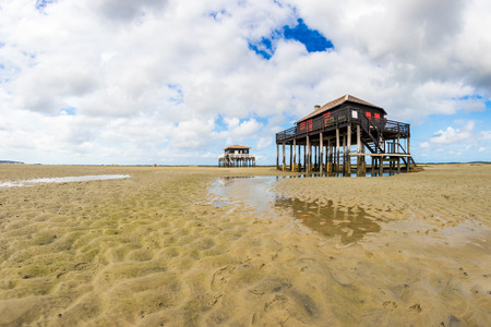 beautiful black wood house on stilts in the basin of Arcachon on the island with birdsの写真素材