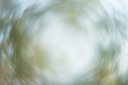 blue gray twisted light reflected from the leaves of birchの写真素材