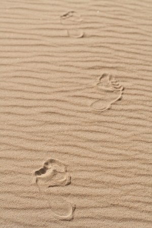 traces of human feet on clear pristine sand sea beach or desertの写真素材