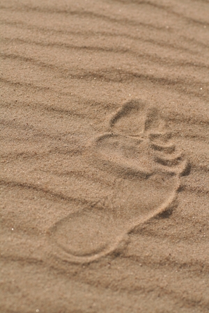 traces of human feet on clear pristine sand sea beach or desertの写真素材