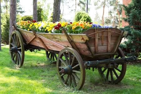 the old horse-drawn carriage converted into a flowerbed of spring flowers standing on the green grassの写真素材