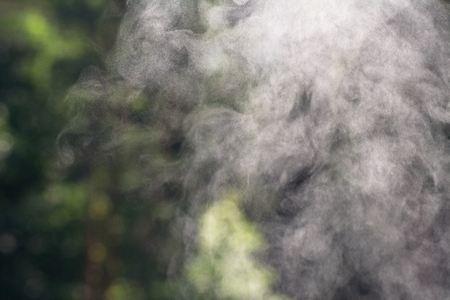 sketched in the air abstract patterns smoke from the plant background in depth
