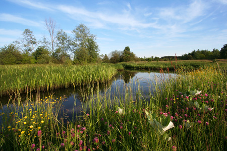 Slowly flowing river through boulders full of flowers and other field plants