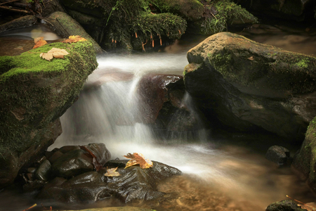 rocks in the green washed by crystal clear water of a mountain streamの写真素材