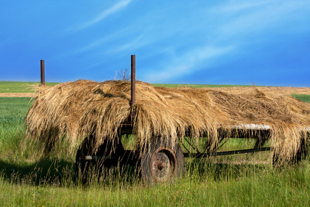 Standing on a farm trailer with hay, around green grass and blue skyの写真素材