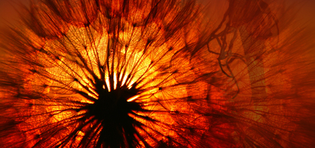 Approximation of the blower illuminated from behind with the red light of the setting sun