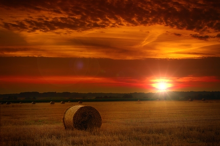 The sun over the straw balesの写真素材