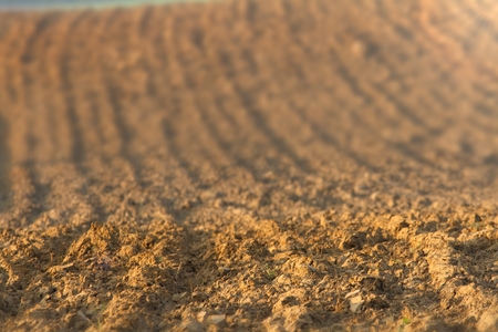 Plowed field close upの写真素材