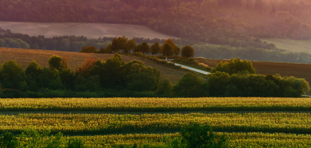 hills and roads in Slovakia in the rays of low, afternoon sunの写真素材