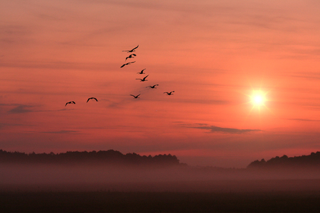 Flying over the bulldozer cranes against the background of the setting sunの写真素材