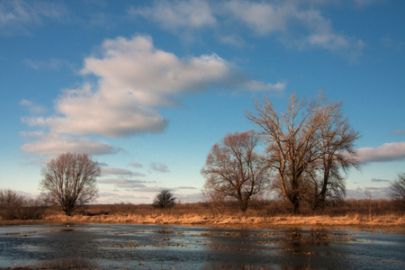 winter landscape with the river bank, sun and white clouds in the blue skyの写真素材
