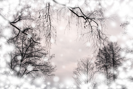 winter frame surrounded by snow with branches hanging from treesの写真素材