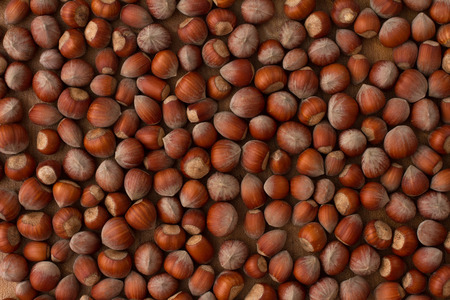 hazelnuts scattered on boards, photographed from above, forming a uniform backgroundの写真素材