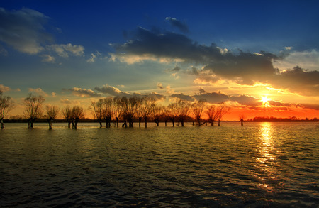 High water on the Polish river Bug before sunset in early springの写真素材