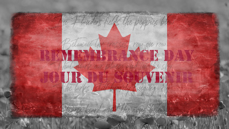 Destroyed flag Canadian on the background of poppies - Remembrance Dayの写真素材