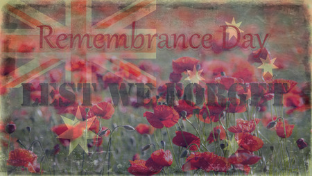 Destroyed flag Great Britain on the background of poppies - Remembrance Dayの写真素材