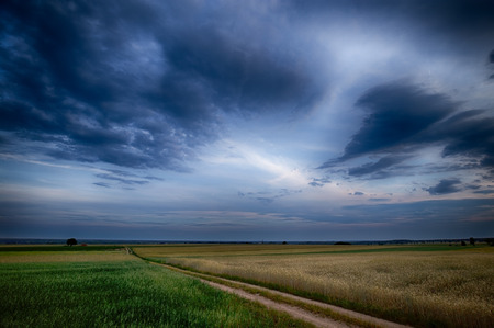 A dark sky with intriguing clouds before sunset over fields with a clear sandy roadの写真素材