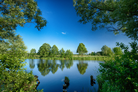A view of the old oxbow of the Bug river with a frame made of russetia and remains of piles in the waterの写真素材