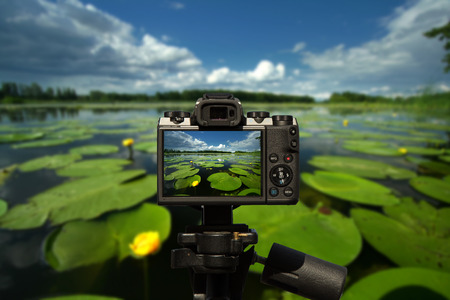 Camera and Landscape with yellow water lily (Nuphar lutea) in wide view with blue sky