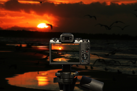 Camera and seagulls, sea, sun and the smell of fresh summer breeze, almost hear the sound of the wavesの写真素材