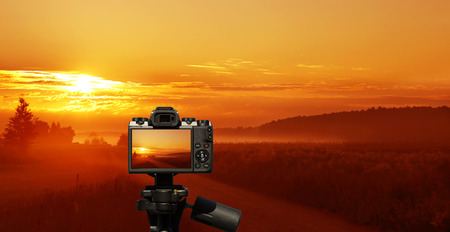 Camera and  Sandy road running between the bushes in the first rays of the rising sunの写真素材