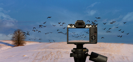 Camera and  Flying goose bean over a snow covered field in Poland in Europeの写真素材